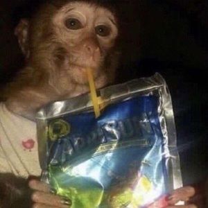 Meet your Posher, Austin